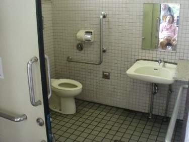 現在あるトイレマップ・チェックシートを持ち、チェックを行う。〔トイレを見る・使う〕